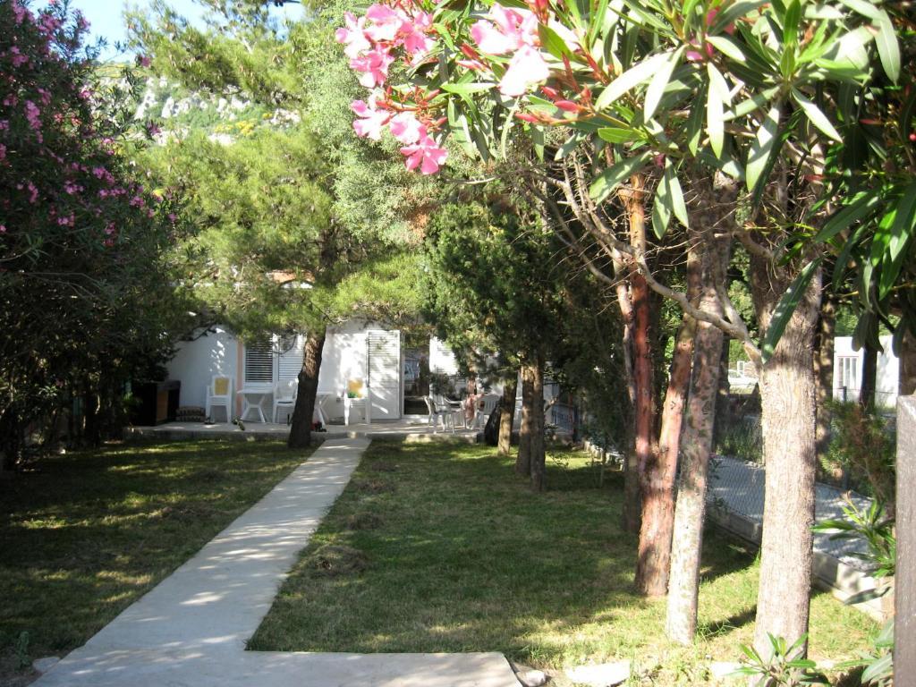 Vila Branka Čanj Exterior foto